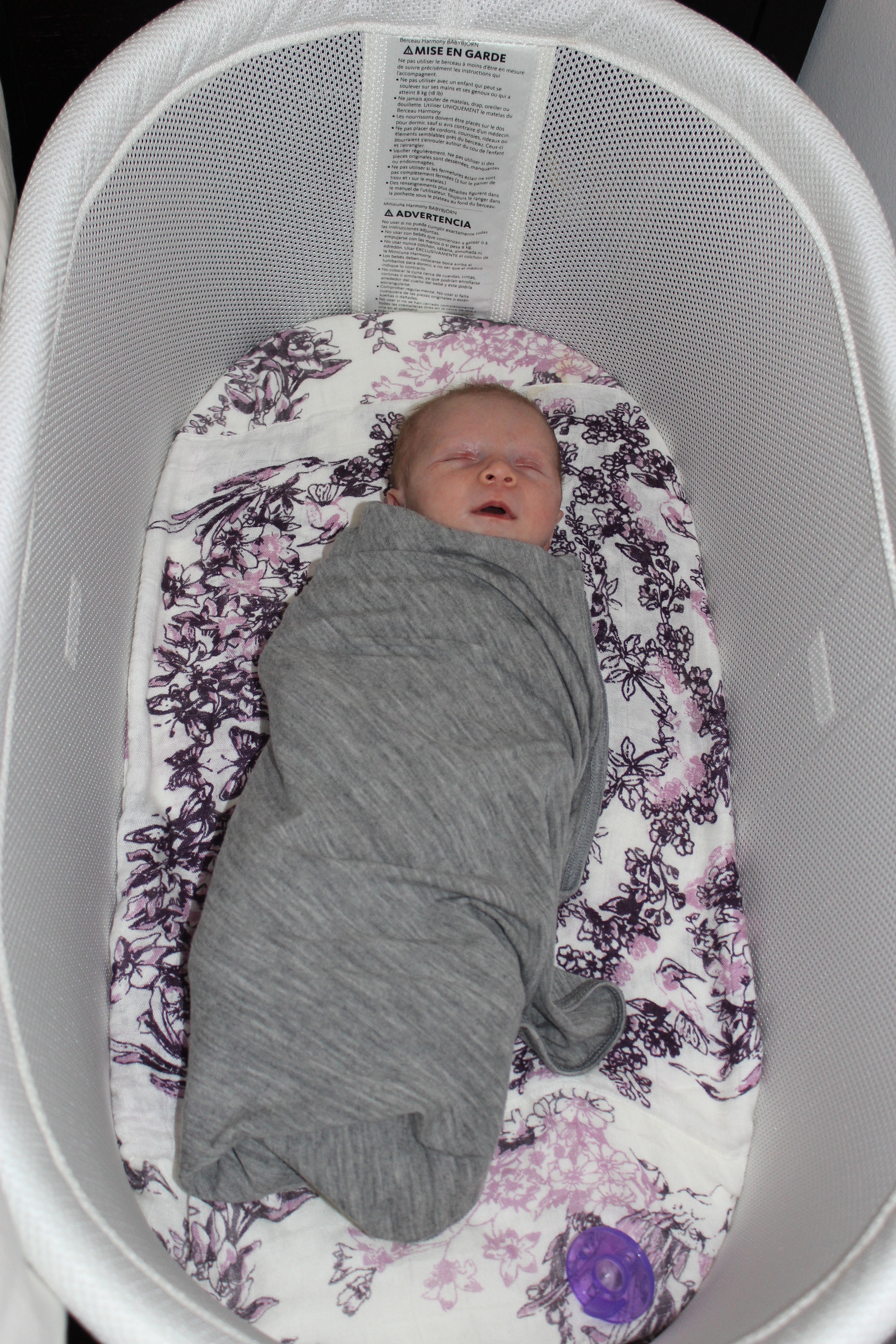 babybjorn cradle bassinet