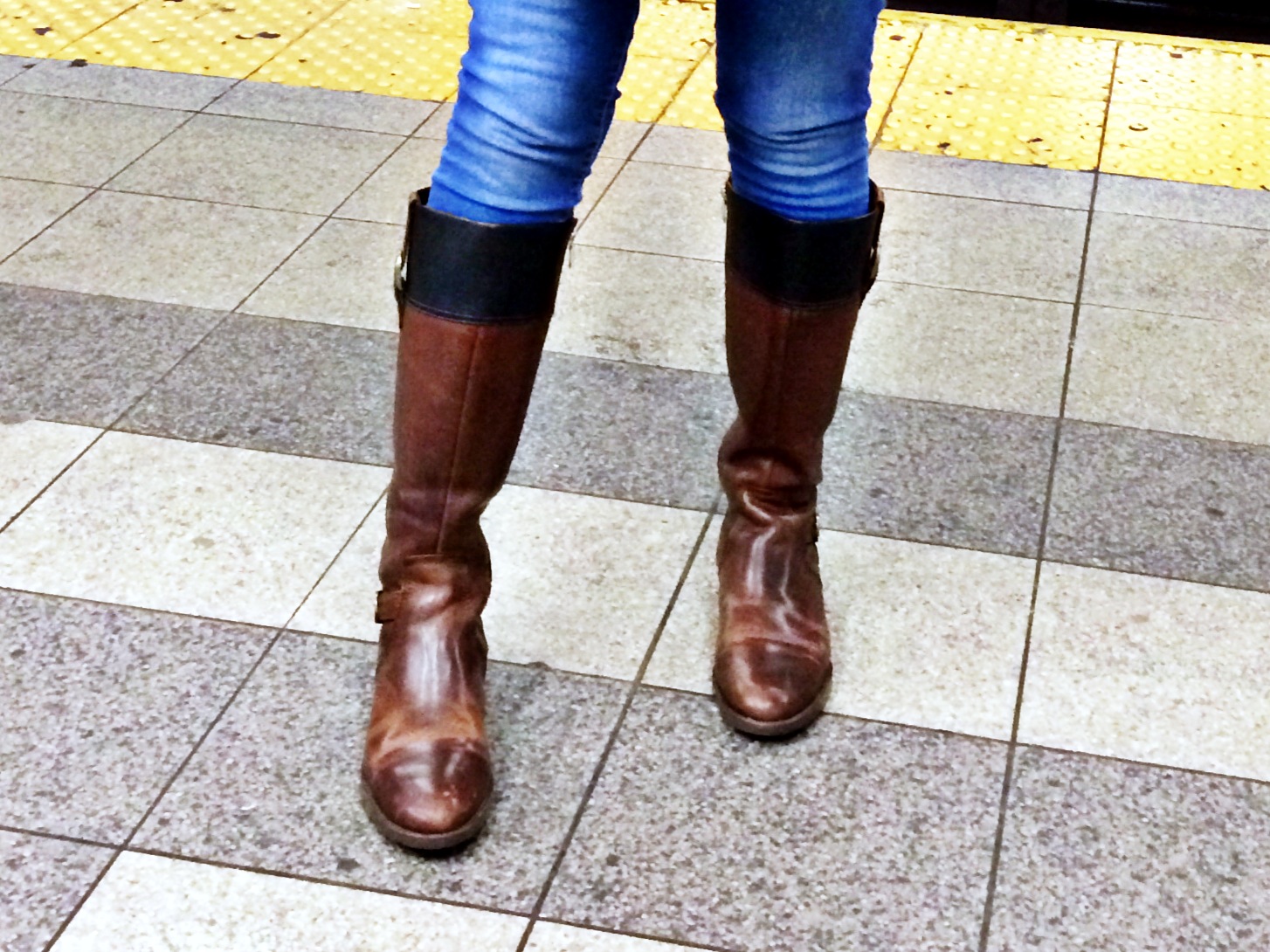 ariat york riding boots