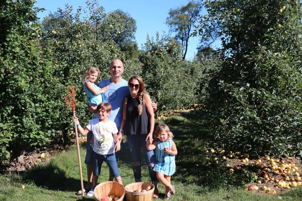 Apple Picking At Longmeadow Farm