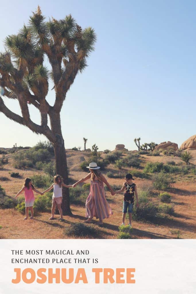 Family Vacation At Joshua Tree | Stroller In The City
