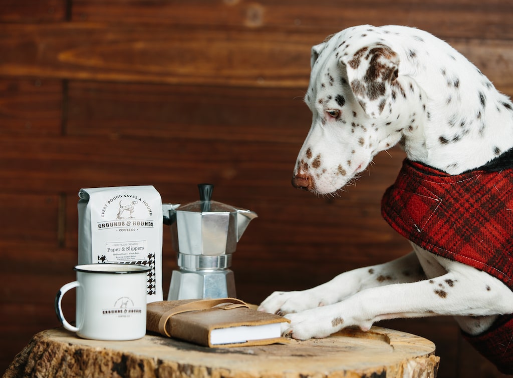 2019 Father's Day Gift Guide -Grounds and Hounds coffee