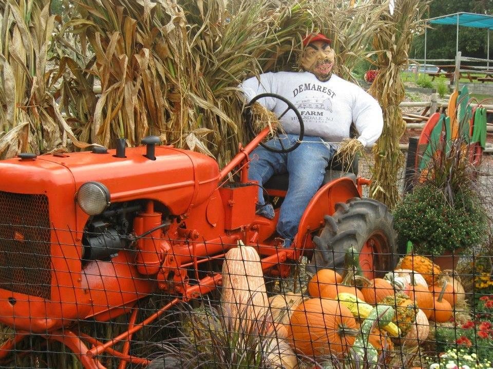 Pumpkin Picking Near NYC at Demarest Farms 