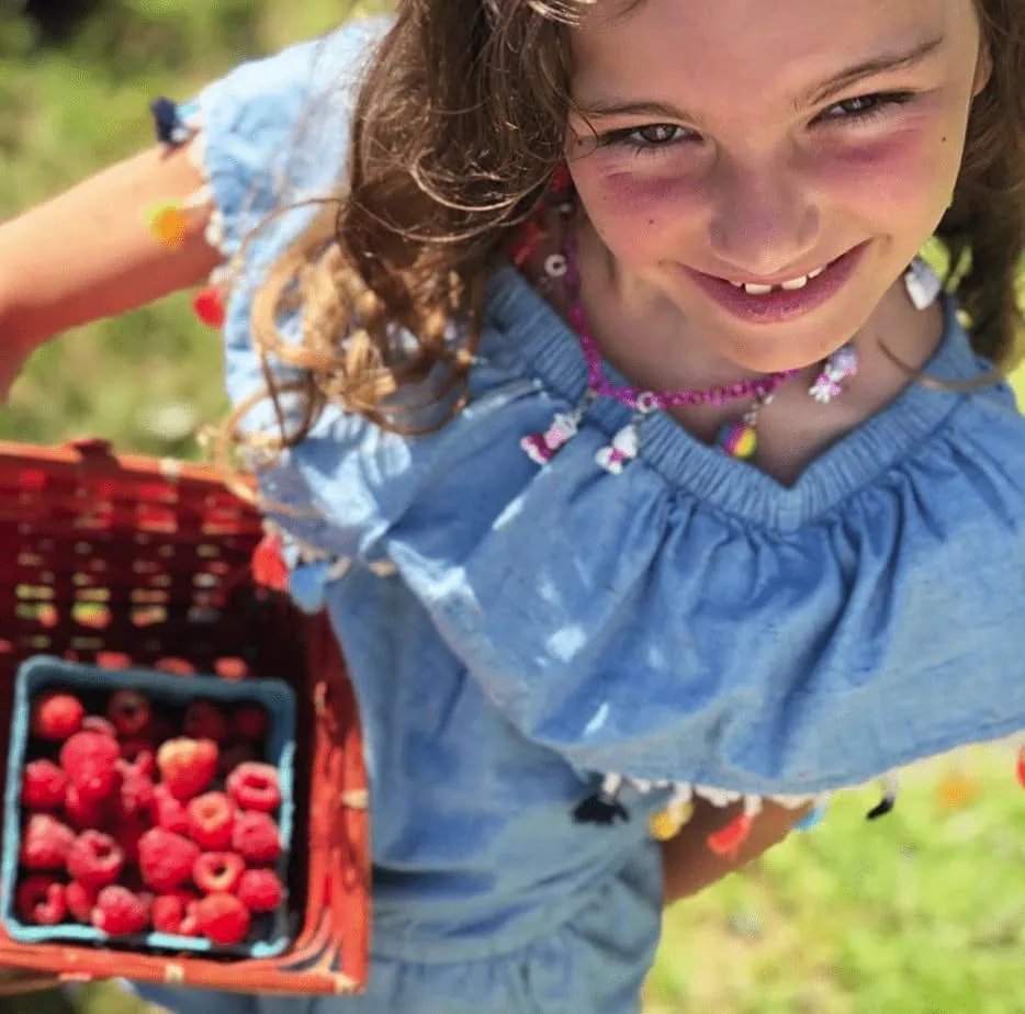 berry picking