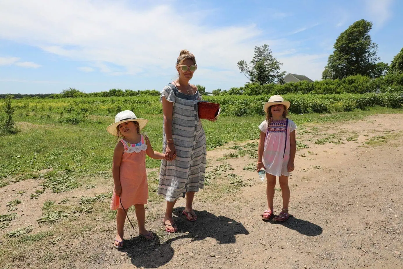 berry picking