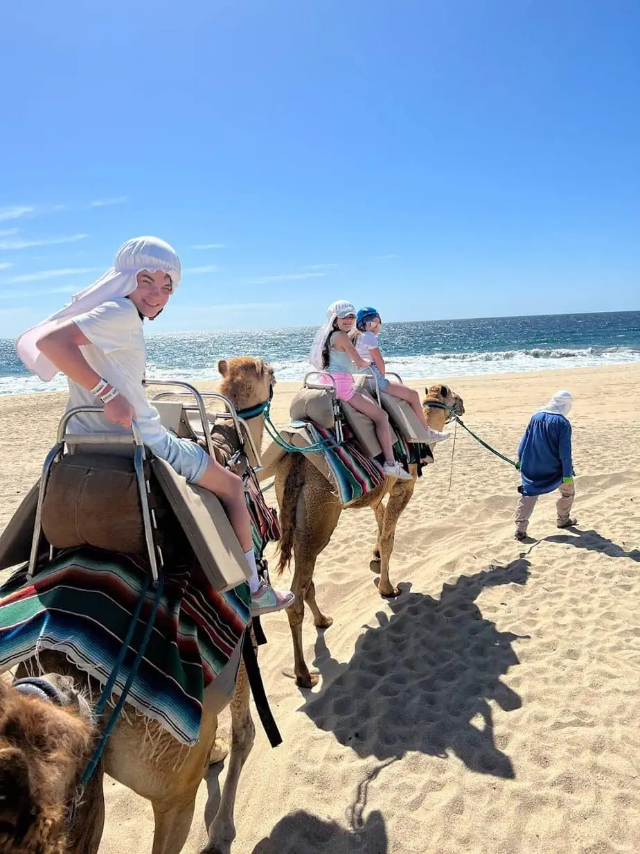 Kids riding camels on beach