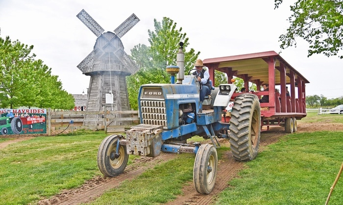 Blue tractor and windmill at Harbes Family Farm 