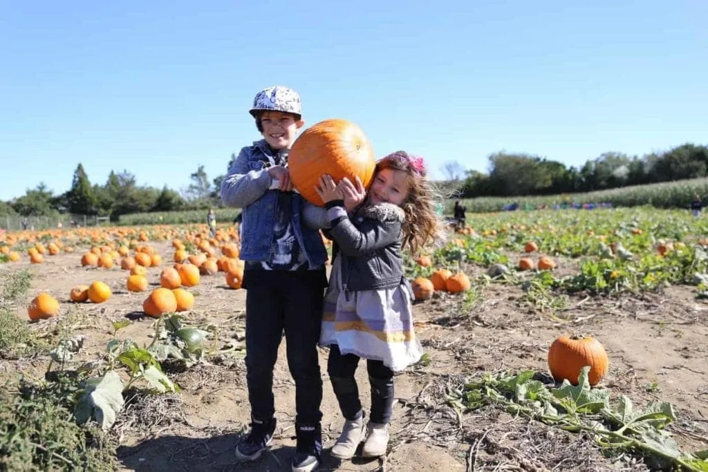children holding up pumpkin at NYC apple picking farm