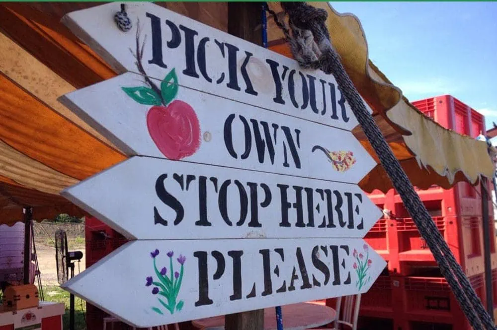 Sign at Love Apple Farm text:/ Pick Your Own Stop Here Please