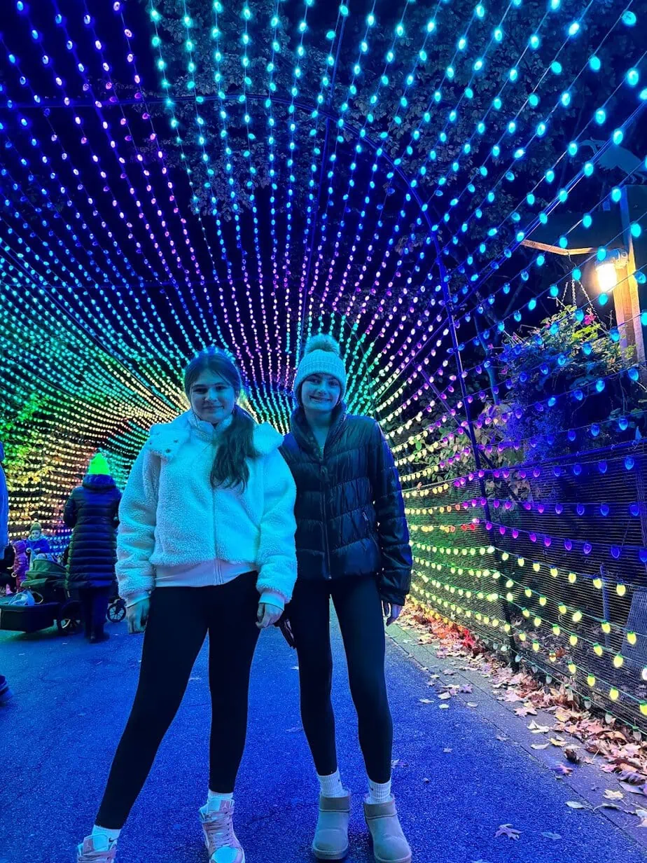 bronx zoo holiday lights