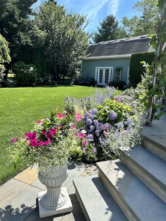 Sorry! Image not available at this time