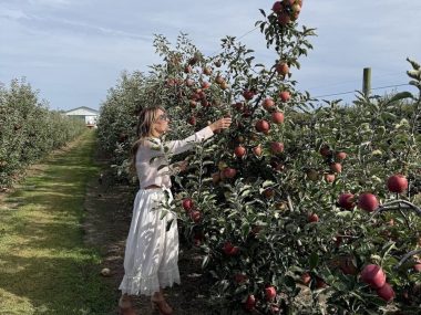 autumn desserts