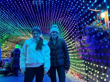bronx zoo holiday lights
