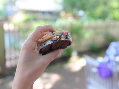 ice cream sandwich